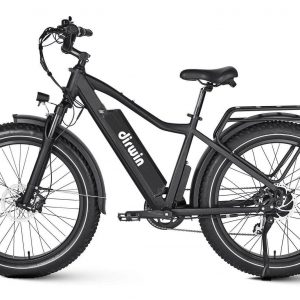 Dirwin Seeker Fat Tire Electric Bike 750W 768WH