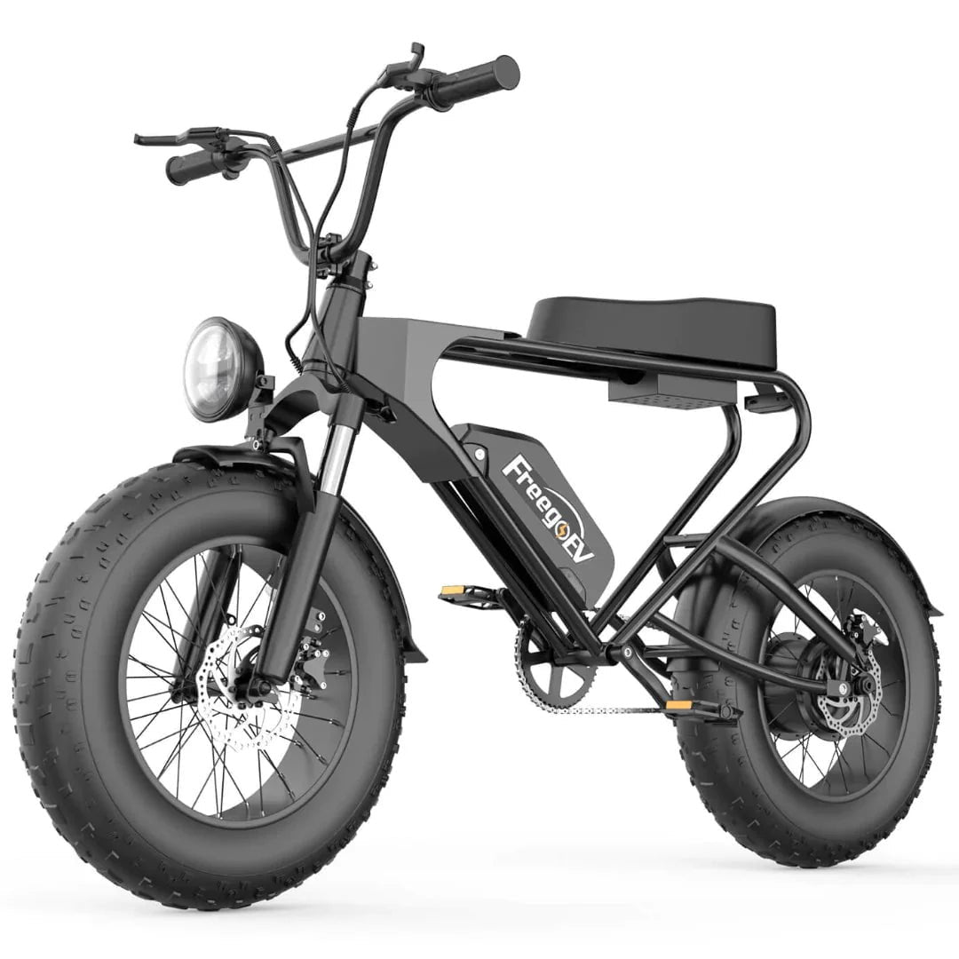 Freego DK200 Off Road Mountain Electric Bike 20” Fat tires 1200W Powerful Motor 20Ah Lithium Battery