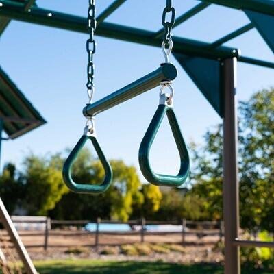 Lifetime Big Stuff Deluxe Swing Set (Earthtone)
