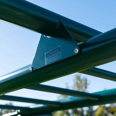 Lifetime Big Stuff Deluxe Swing Set (Earthtone)