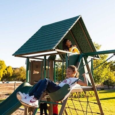 Lifetime Big Stuff Deluxe Swing Set (Earthtone)