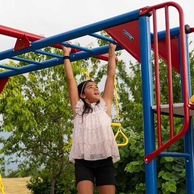 Lifetime Big Stuff Deluxe Swing Set