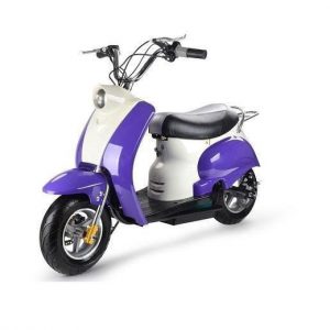 MotoTec 24v Electric Moped