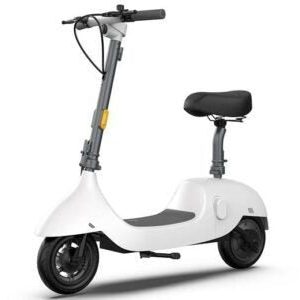 MotoTec Okai Beetle 36v 350w Electric Scooter