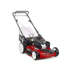 Toro Recycler® (22″) 160cc Honda Self-Propelled Lawn Mower 20379